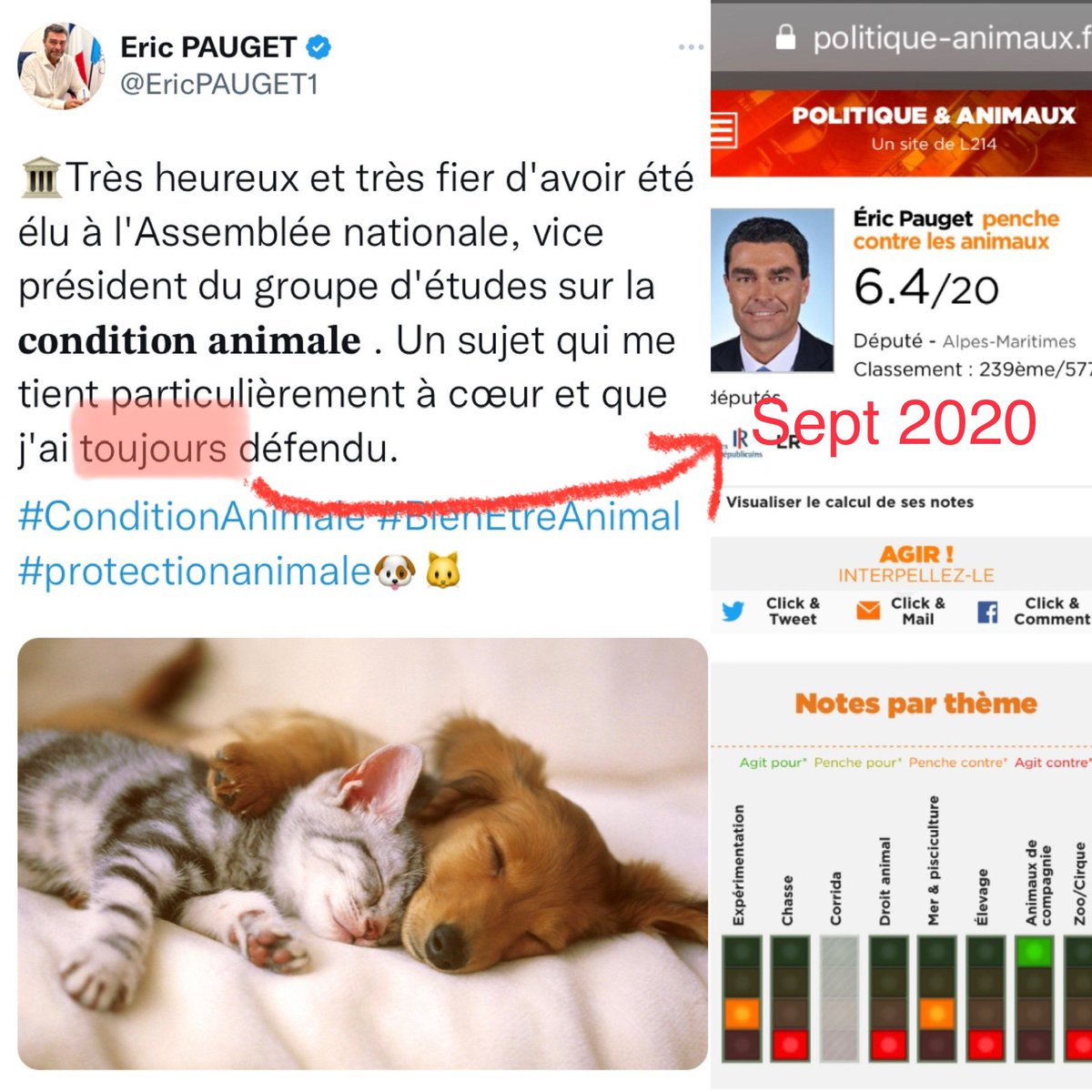 animauxmesamis's tweet photo. 3/11 Petit rappel daté : vous avez commencé , M #EricPauget , à vous intéresser aux #animaux , il y peu de temps (2021) , par la #corrida , c’est facile à #Antibes , pas de contradicteurs virulents …et cela n’affecte en rien votre électorat ! #fingersinthenose 😊 https://t.co/UghbqKILtG