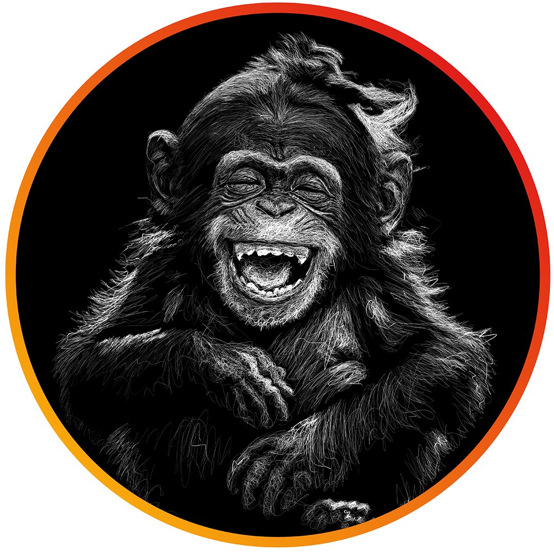 The Cheesy Monkey tweet media