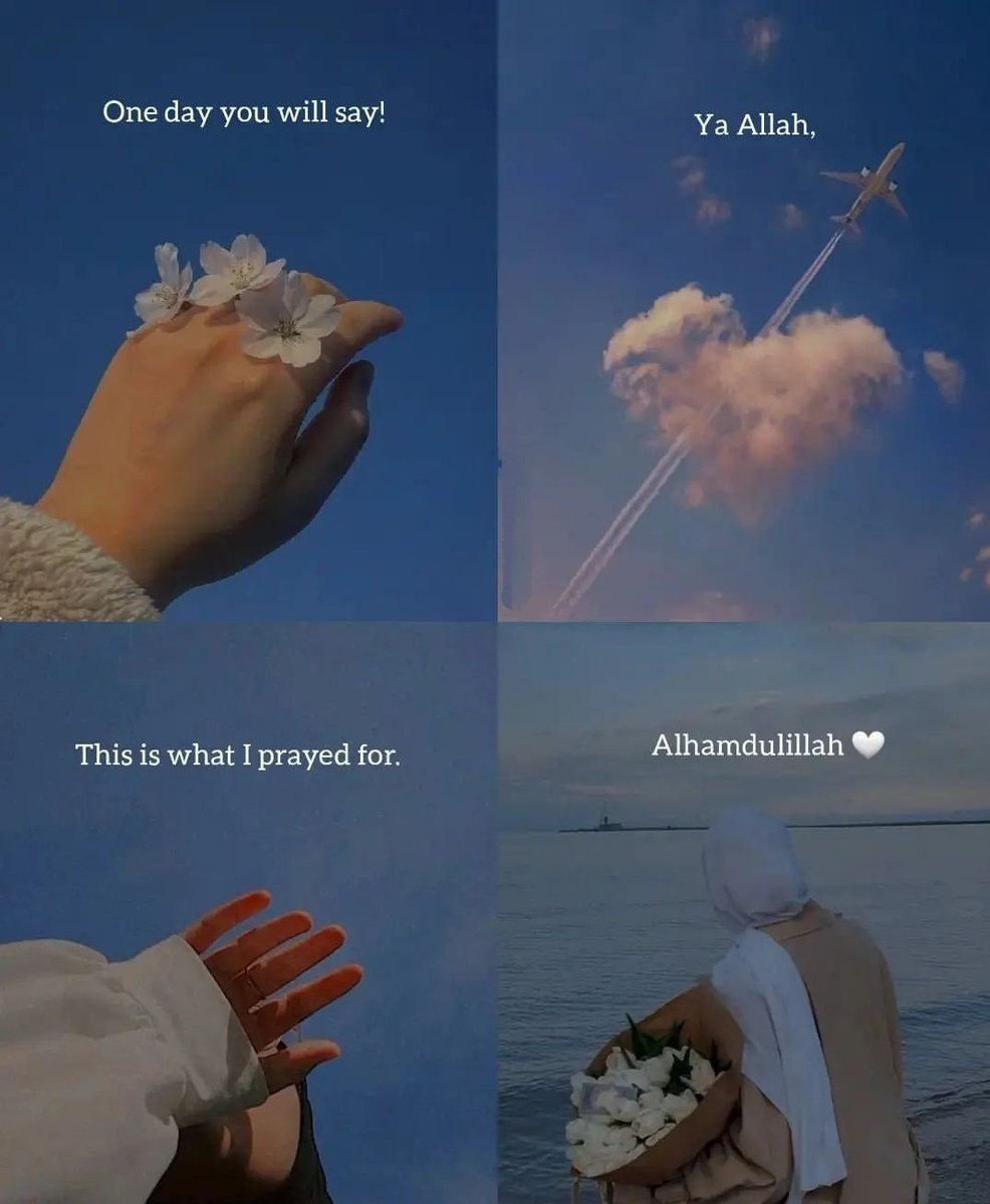 • tweet media