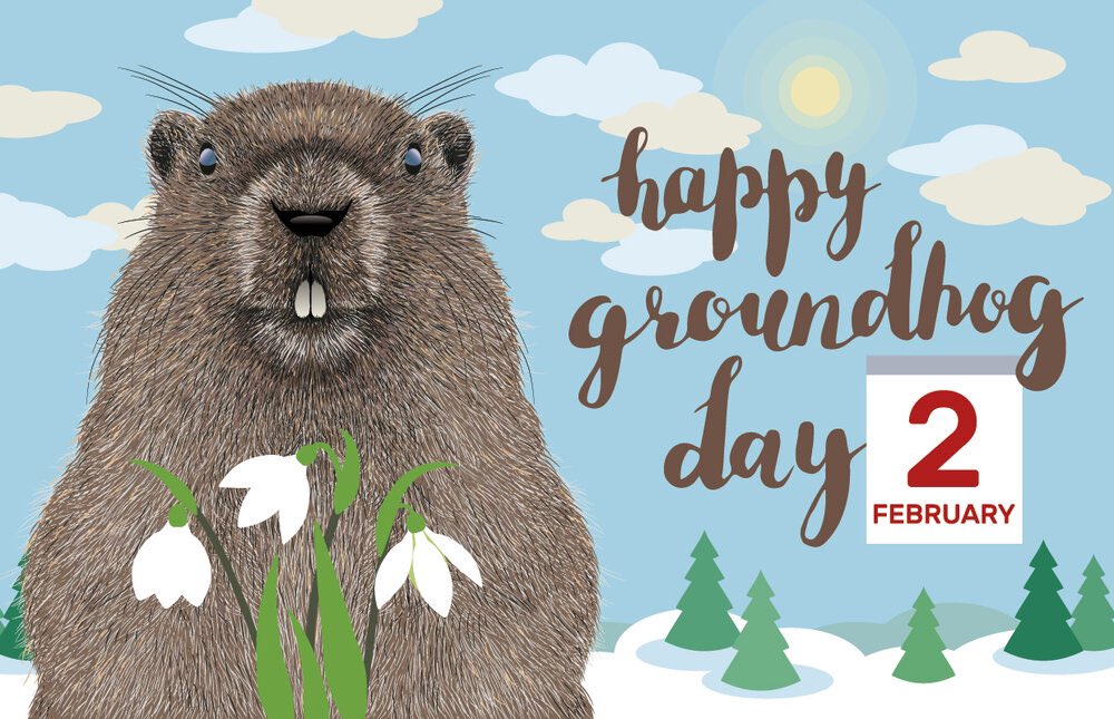 🦫Happy Groundhog Day. Chuckles predicts an early spring🌱 Punxsutawney Phil predicts 6 more weeks of winter❄️ Guess we’ll flip a coin
___________
S C E N I C  L A N D S C A P I N G
#sceniclandscapingct #sceniclandscaping