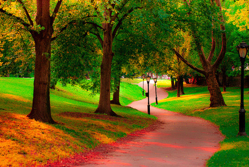 balanceinstyle's tweet photo. Autumn Path, Central Park, New York City #AutumnPath #CentralPark #NewYorkCity https://t.co/lxGlZadnPI https://t.co/vY2RdKB5KM