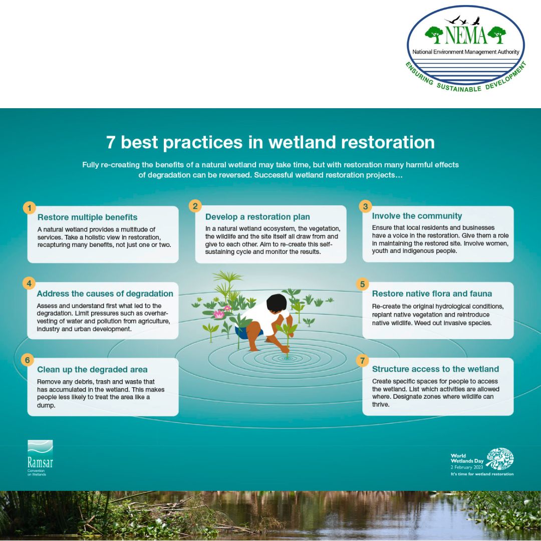 Wetland restoration is the manipulation of the former or degraded wetland's physical, chemical or biological characteristics to return it's natural functions. #MWEworks #WorldWetlandDay