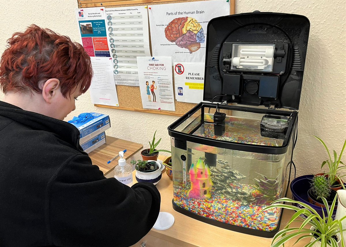 HeadwayBS's tweet image. Spot the fish?!  Clients have taken on the task of feeding the Leighton House #goldfish.  A great way to improve memory and gain a sense of responsibility.   
We can assure you there are nine fish in there! They were very shy when the camera came out! 🤣🐠 
#fishfood #braininjury
