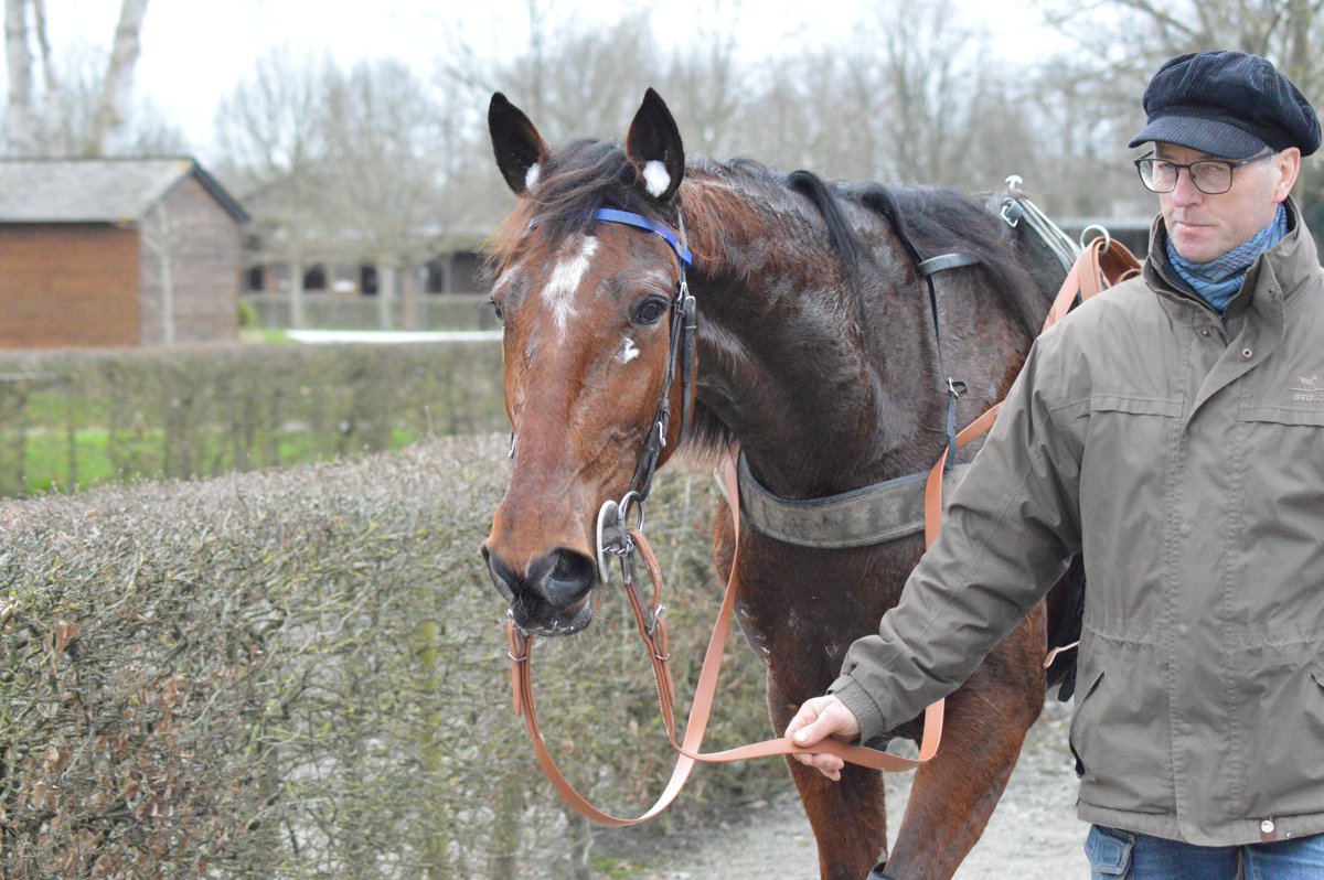 Province Courses / 24H au trot tweet media