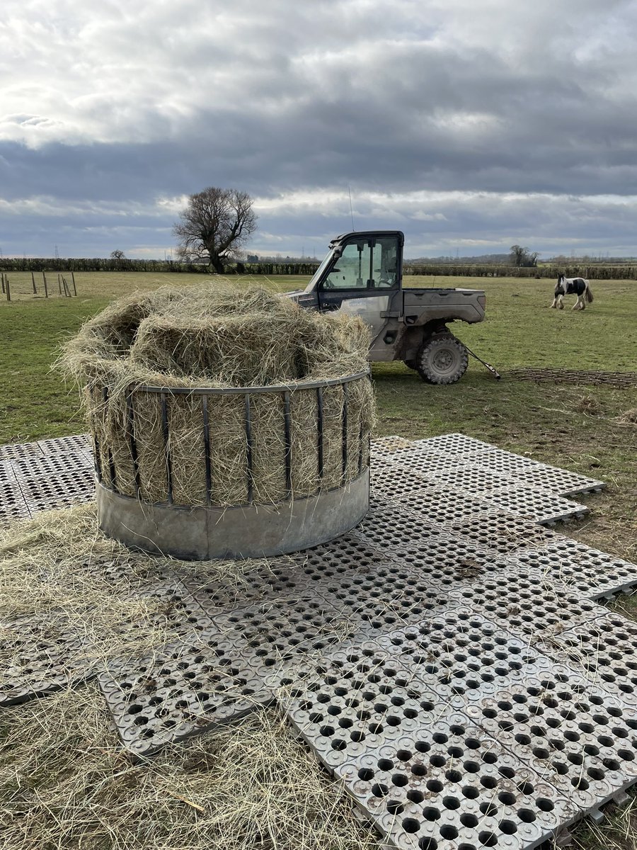 The paddock is harrowed and the Mudcontrol mats are down. I’m ready for you February!