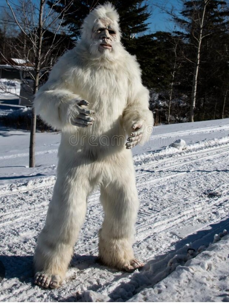 AdrianPain's tweet photo. Who you taking in the #KelceBowl #SuperBowl ?? #BigYeti v #fatBatman
@newheightshow https://t.co/JgC8vAkr7e