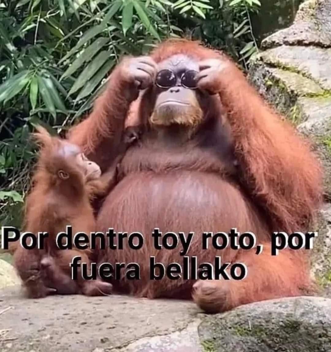 Hxcaat's tweet photo. ¿¡Ya vieron que mi museo favorito encontró una reliquia española?! De la nada en un campo de sus tierras . . . https://t.co/UFiZvhJ0AB