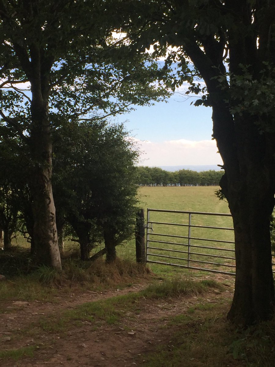 GatePostSign's tweet photo. Trees and gates, Deerleap on the Mendip hills @200Mendip for #bumbattenthursday https://t.co/bUa3HIPCtp