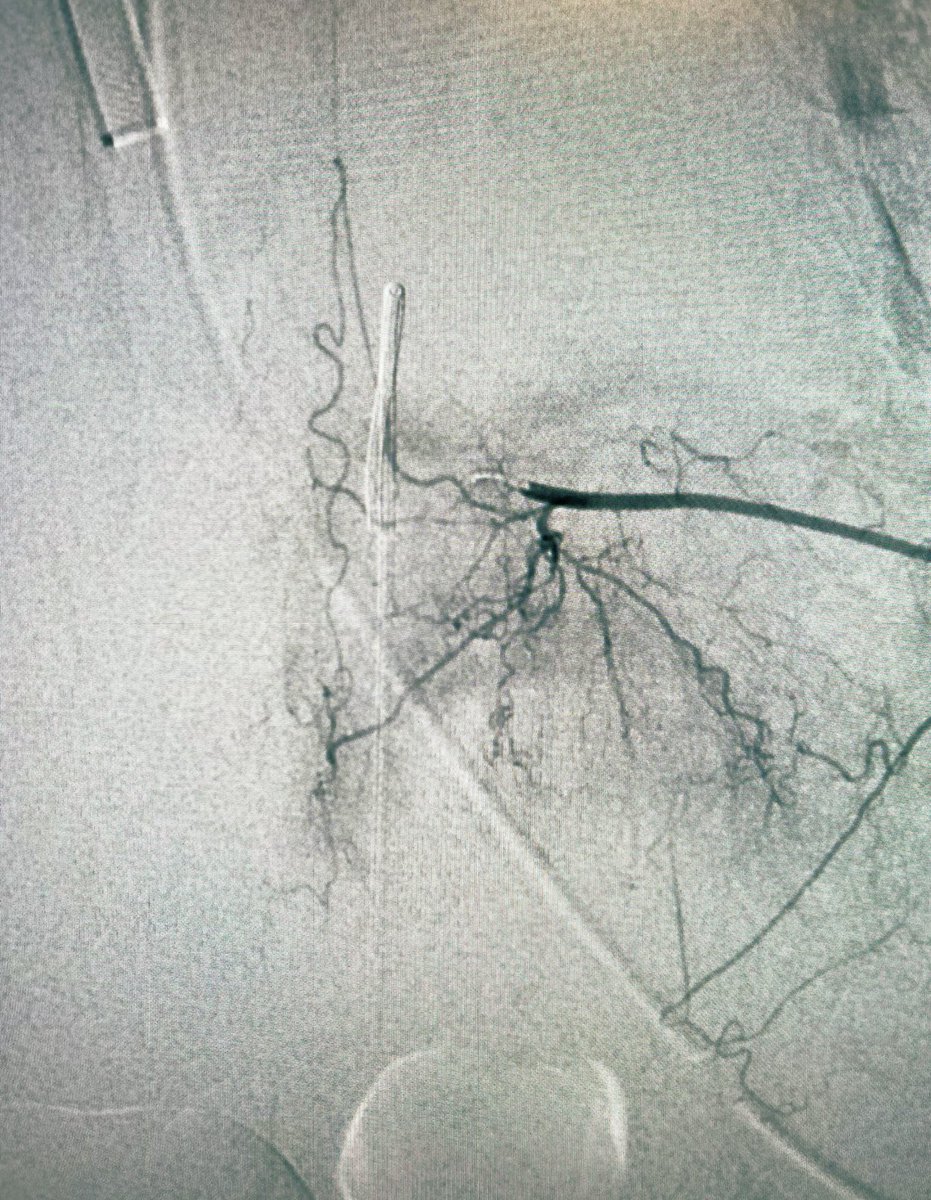 Raj Khalsa, MD, MBA tweet media