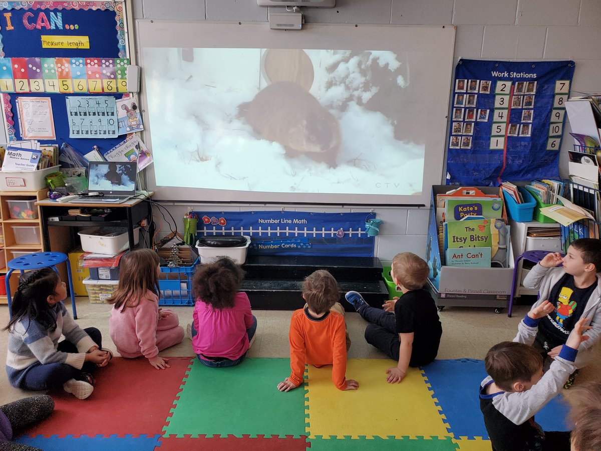 GillBaskwill's tweet photo. Will Sam see her shadow? Mrs. B hopes not! We couldn't be in Shubenacadie today but we sure loved watching @ShubenacadieSam from the Annapolis Valley today! #seewhatwearelearning @SMES01 https://t.co/1TWAWh5LwH