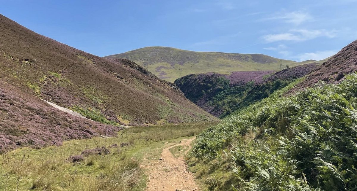 Bad posture is crippling your health.

Here’s how to reverse it before it's too late: https://t.co/9...