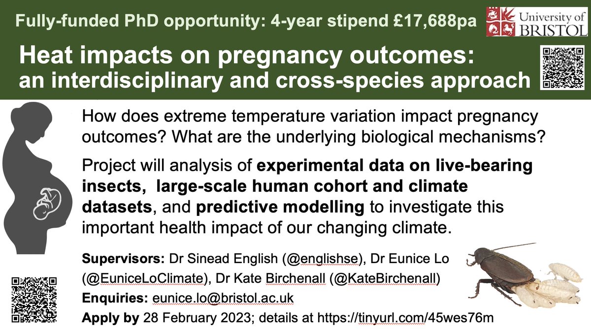 4-yr funded PhD opportunity @BristolUni! Interested in how heat stress affects pregnancy? Tackle this #ClimateHealth issue with an interdisciplinary approach!🔥🤰🪳 Open to international applicants! 28/2 deadline Supervisors @englishse @EuniceLoClimate @KateBirchenall