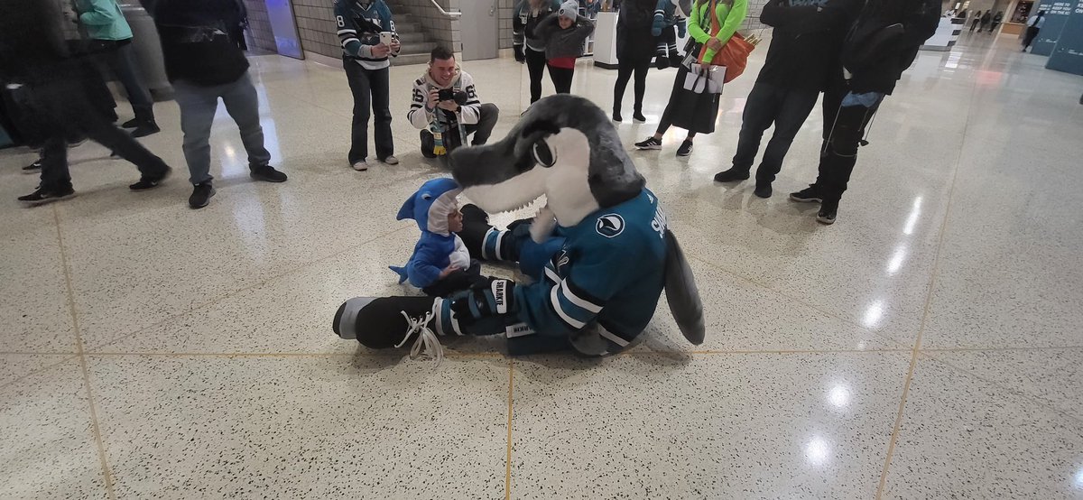 sjsharkie's tweet photo. Greeting the weekend like… https://t.co/Bgh4zeINzf