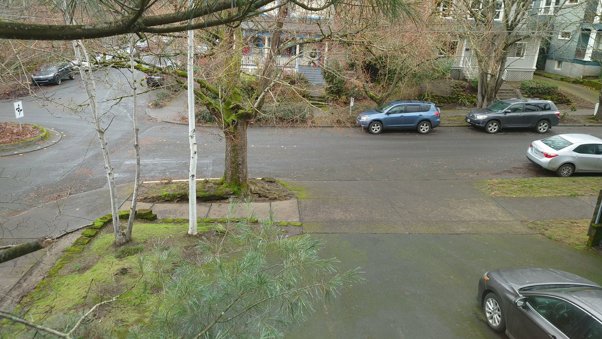 wxsherri's tweet image. Not that it's going to show but it is snow, sleet, graupel in Buckman, Portland, OR #orwx #pdxtst