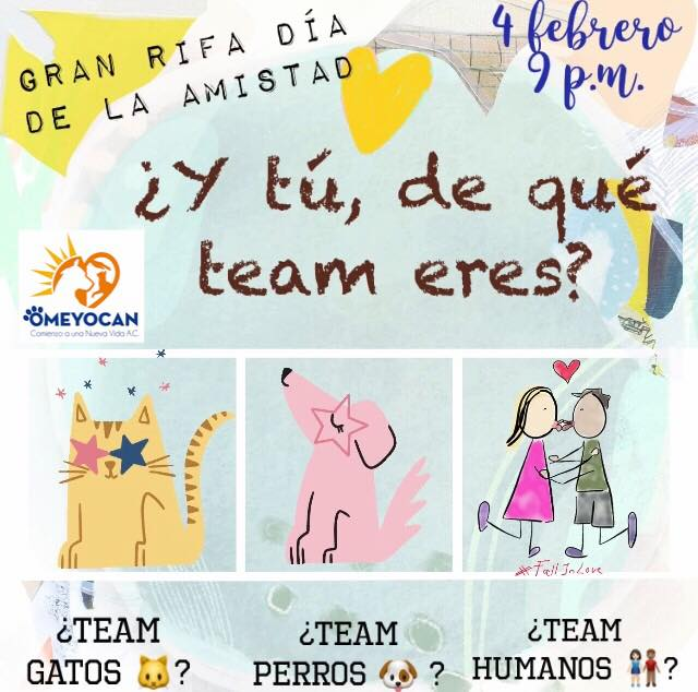 OMEYOCANAC's tweet photo. No importa cómo sea tu media naranja 🍊
En la gran RIFA con motivo del día de la ❤️ Amistad ❤️ del 4 de febrero, ¡habrá premios para todos! 🎁
Tú eliges en qué rifa entrar, si eres parte del #teamgatos 🐱
#teamperros 🐶
#teamhumanos 👩🏻🤝👨🏽 https://t.co/4A37l9ZFvw