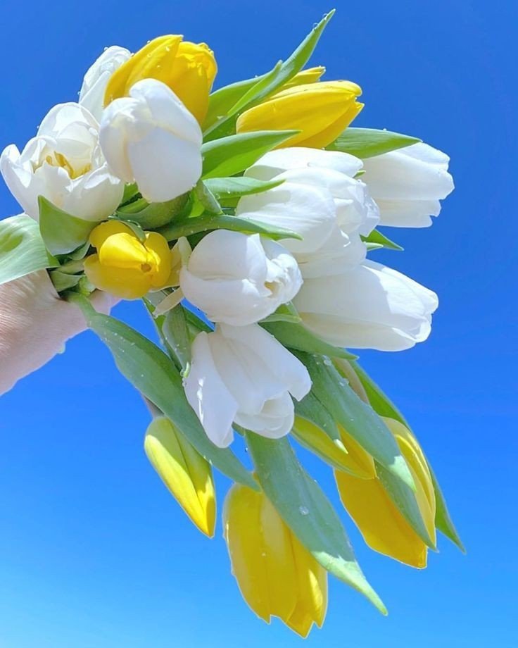 lavieestbelIe's tweet photo. https://t.co/WXANAaukjf