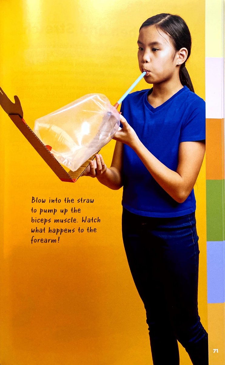 bookedbytina's tweet image. Nia and her brother Kyn in the a book called The Human Body Learning Lab! So cool ! ✨📸🙌 #jcmodelsct #jcmodels #childmodel