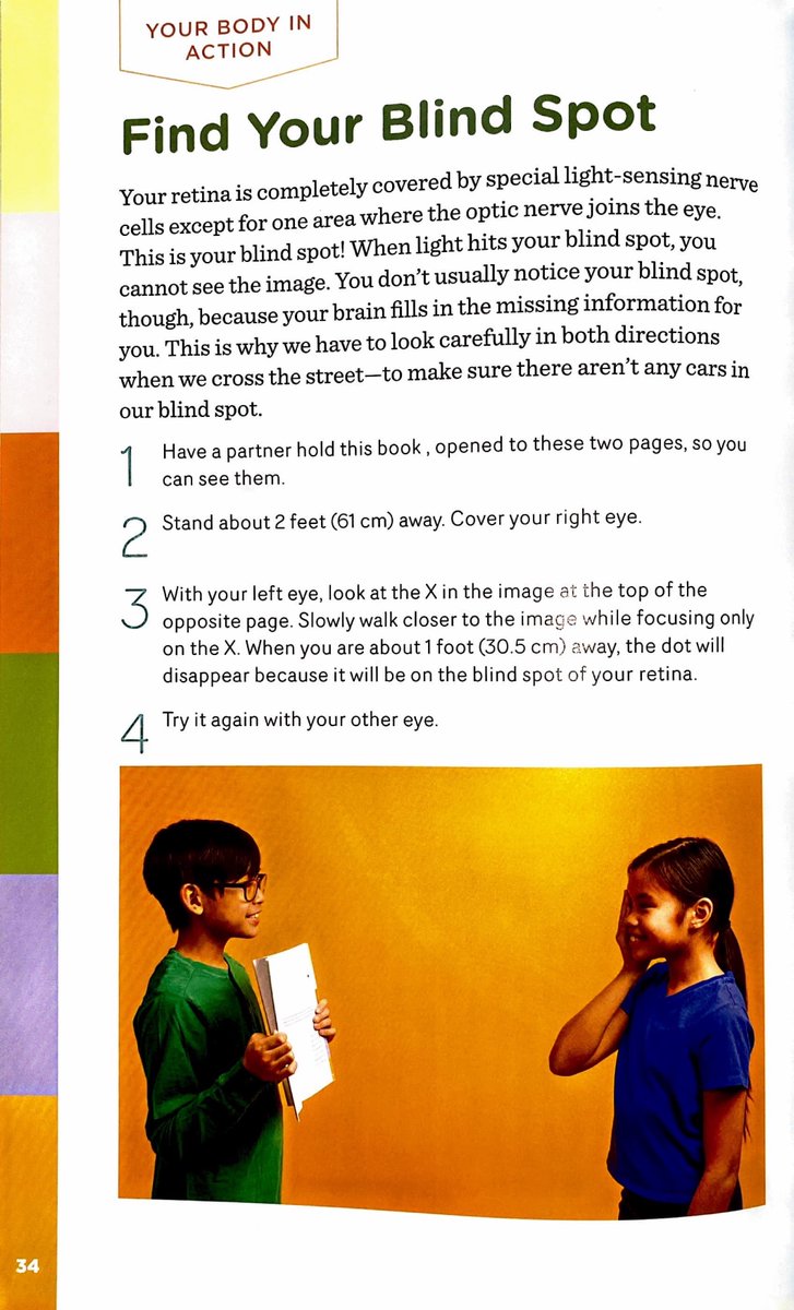 bookedbytina's tweet image. Nia and her brother Kyn in the a book called The Human Body Learning Lab! So cool ! ✨📸🙌 #jcmodelsct #jcmodels #childmodel