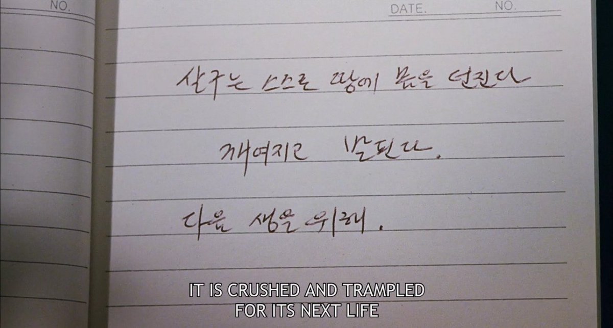 God 🌻 tweet media