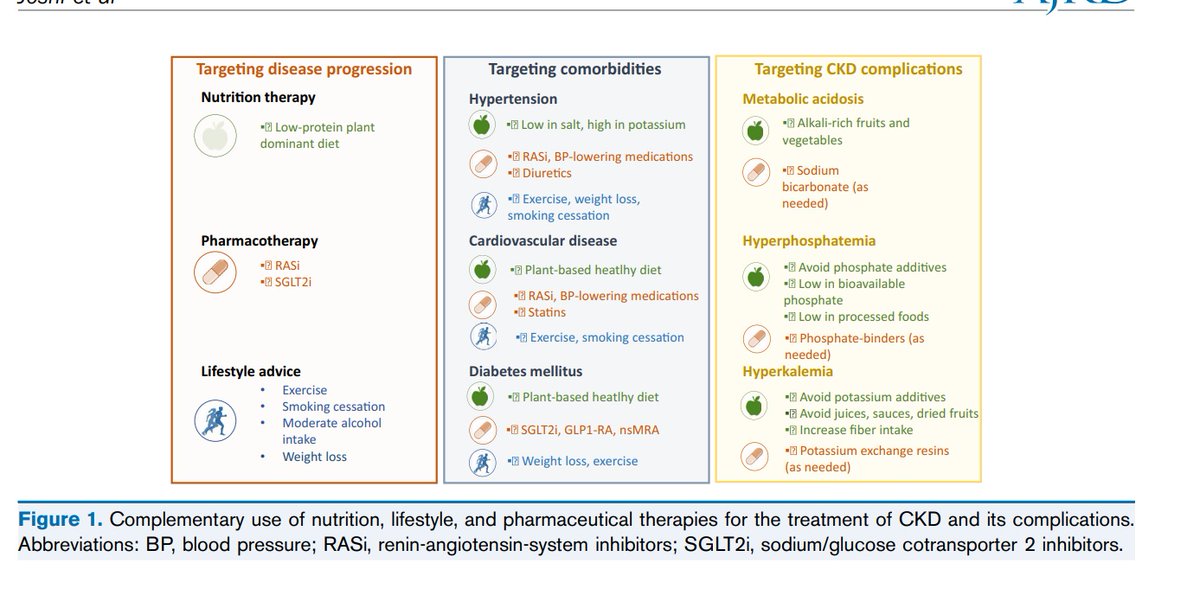 I am EXCITED to announce that after 1.5 years of working on this paper, it is finally out!

"Risks and Benefits of Different Dietary Patterns in CKD" <a href="/AJKDonline/">AJKD</a> 

Thank you to <a href="/kamkalantar/">Kam Kalantar-Zadeh, MD, MPH, PhD</a> <a href="/PSkrunch/">Ph.Chauveau</a> @jjcarrero &amp; Meg Munits!

Free access until 3/11/23!

authors.elsevier.com/a/1gSXaz-QWDuU…