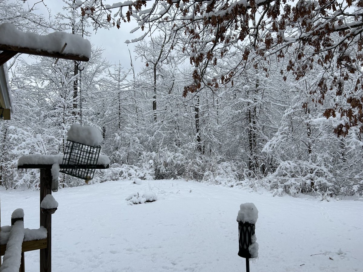 Beautiful Saturday here in New England