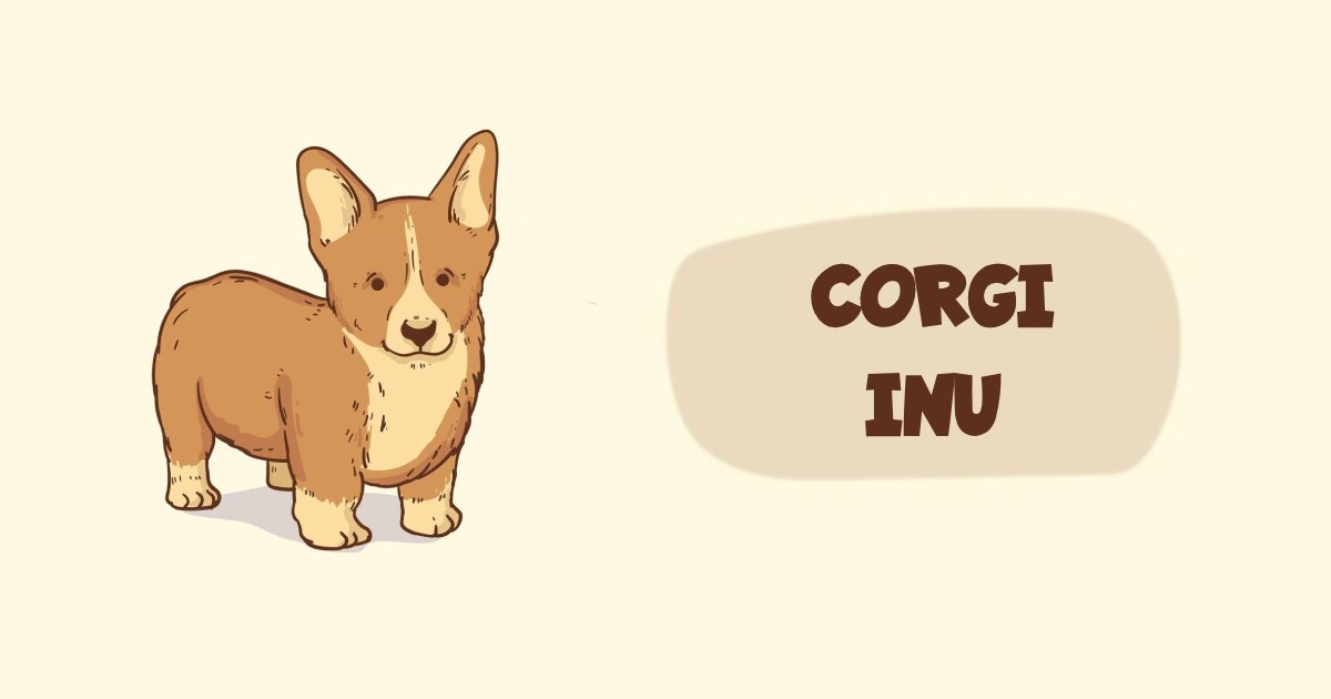 CorgiInuERC's tweet image. The Corgi Inu is a mixed breed dog - a cross between the Shiba Inu and the Corgi dog breeds. With the adorable looks of a fox, these vigilant, affable pups inherited some of the best qualities from both of their parents!

Stealth Launching soon!

#CorgiInu
t.me/CorgiInuERC