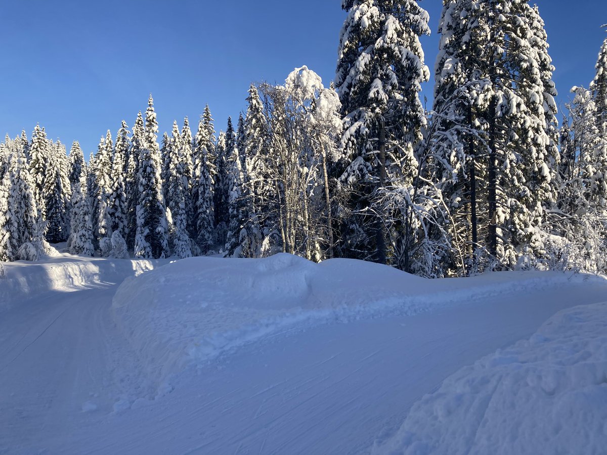 Guri Malla tweet media