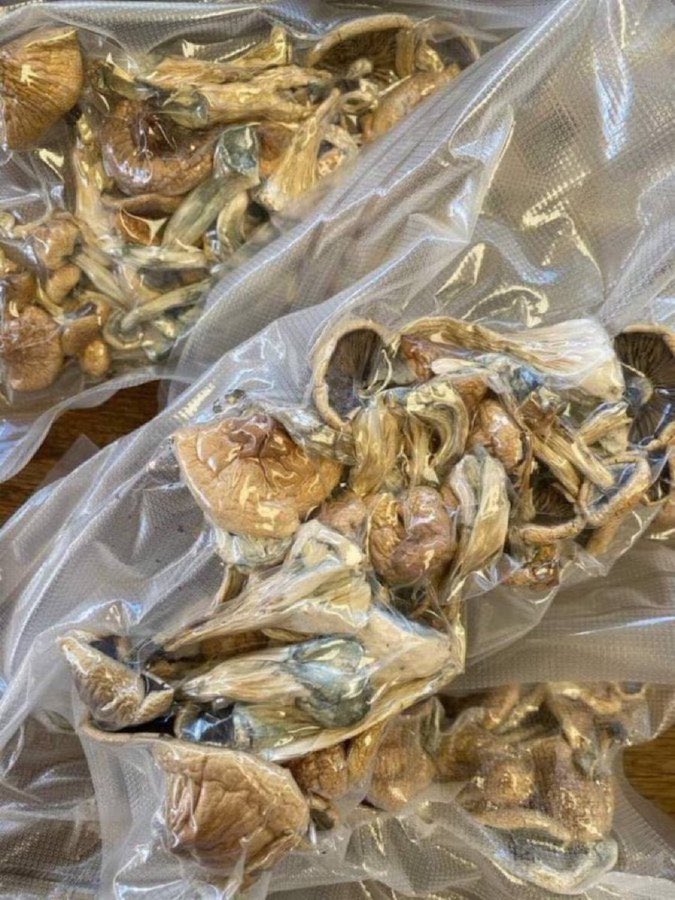 shrooms all day,every day🍄🍄Tap in.