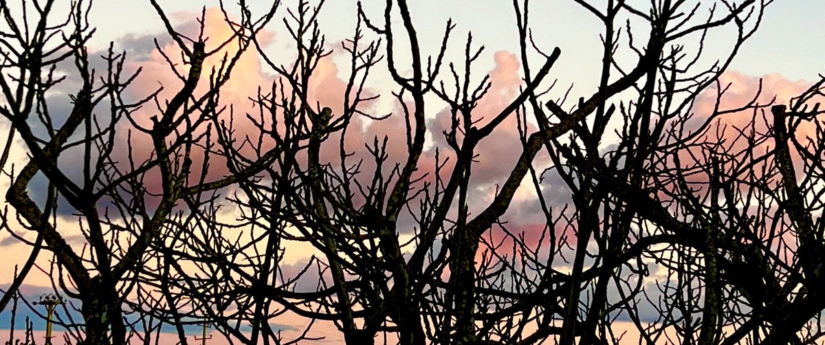 midge ure💙 tweet media