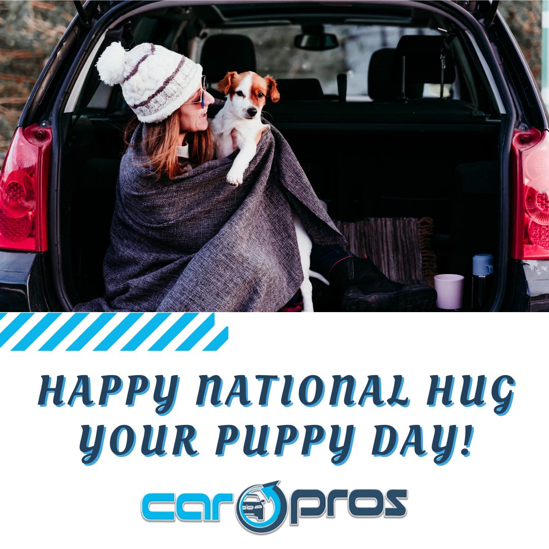 CarProsCo's tweet photo. Happy National Hug Your Puppy Day!😍🐶 Be sure to give your fur baby some extra love today! #NationalHugYourPuppyDay https://t.co/DoBSC3YQQu