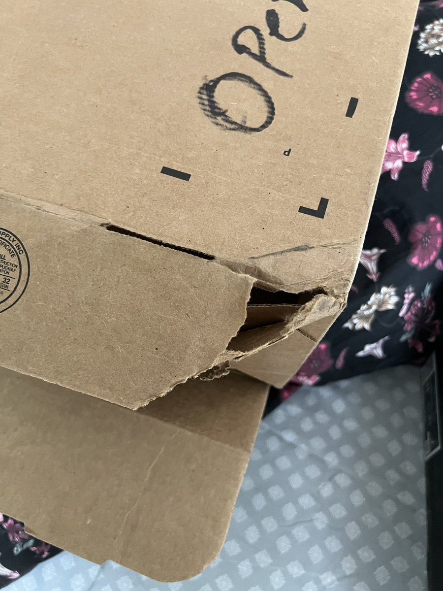sonali_debas's tweet photo. @UPS it’s so surprising!!
The package delivered to be today was damaged, opened, and empty. Care to explain where are my Nike Jordan shoes?? https://t.co/SRvaJm9nYV