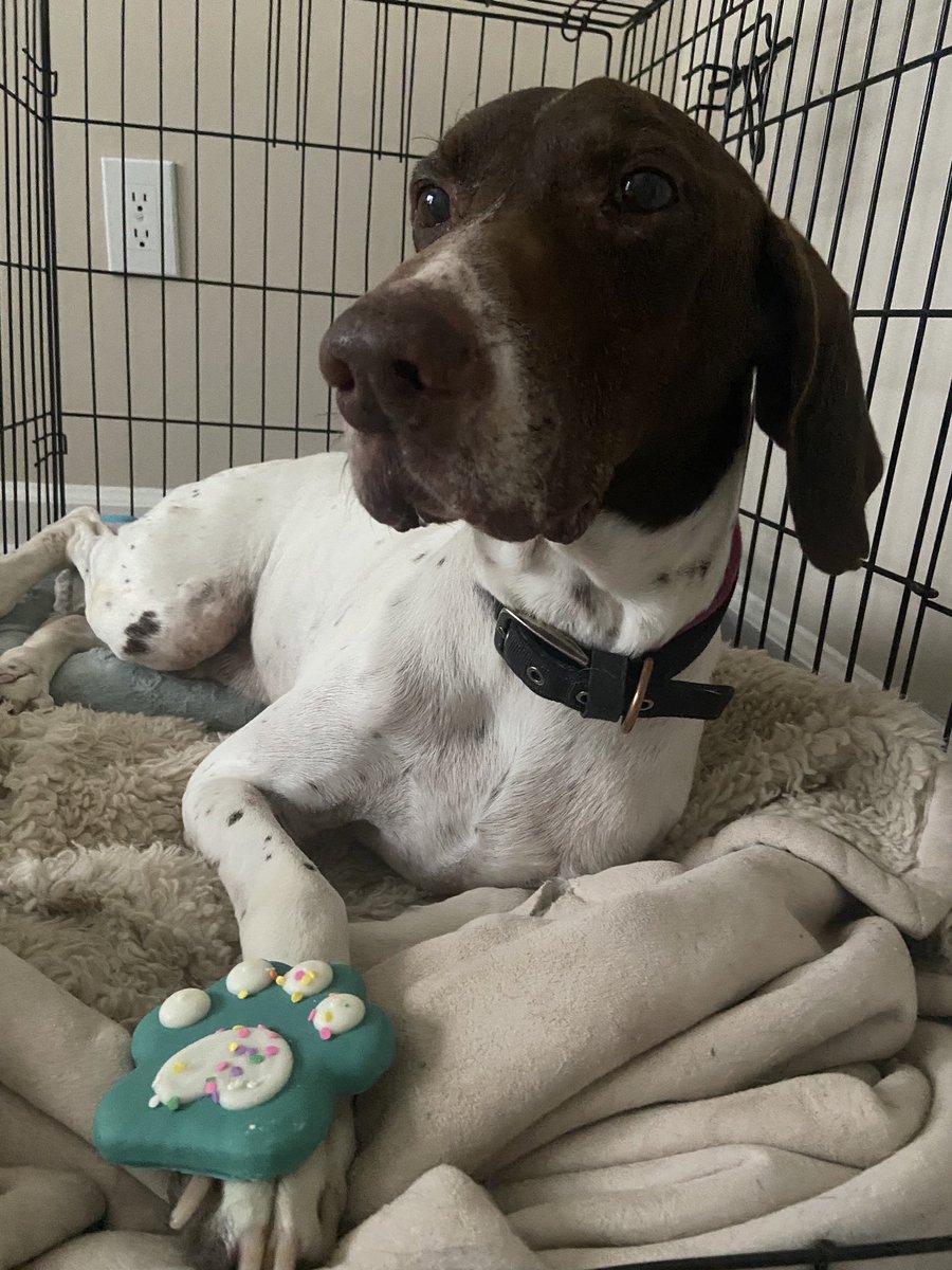 Southeast GSP Rescue tweet media