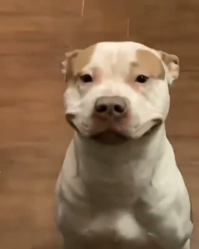 RealPissAss's tweet photo. @TylerPlainz my fault https://t.co/LDBAJNSuu7