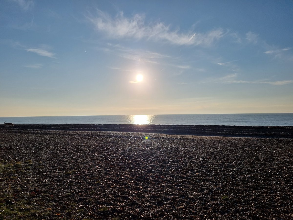 Penguin Claire 81 tweet media