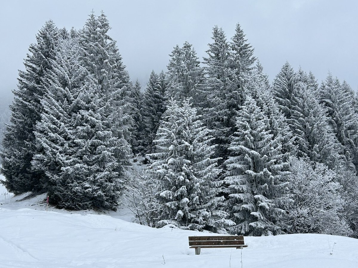 PortmannCarrick's tweet photo. Cold solitude
#emptybench #benchlove #hiking https://t.co/eCPTaI1dF1