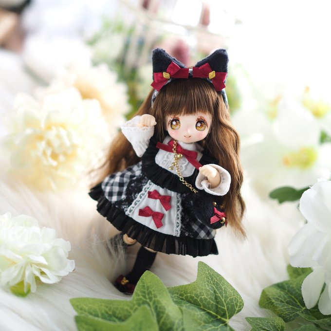 ひえーめちゃくちゃかわいすぎる…子猫なおもちちゃん…よぴよぴ…😭可愛すぎるお洋服はお友達にお借りしました…!ありがたや…😭
#たんちっ子(@ticopo02) 