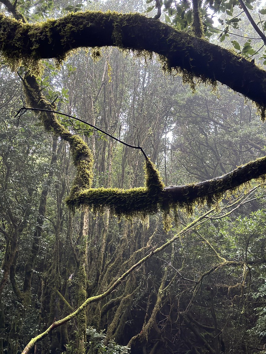 pasaporteblog tweet media