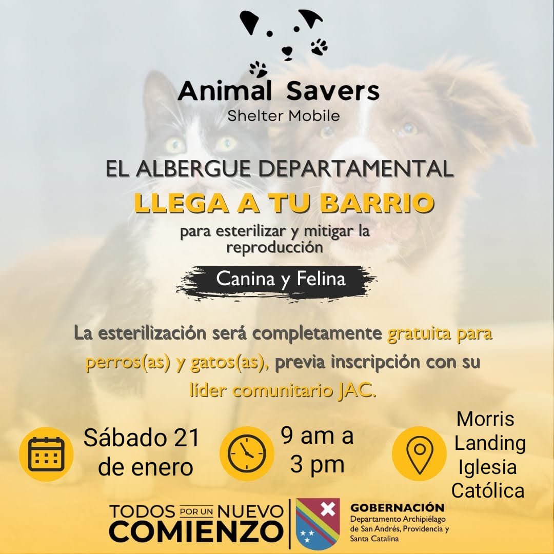 #SecServiciosPúblicos #DebesSaber || El Albergue departamental continúa llegando a tu barrio para esterilizar y mitigar la reproducción canina y felina. 🐈‍⬛🦮👨🏾‍⚕️

¡Inscríbete con los líderes de las juntas de acción comunal y esteriliza a tus gatos y perros!