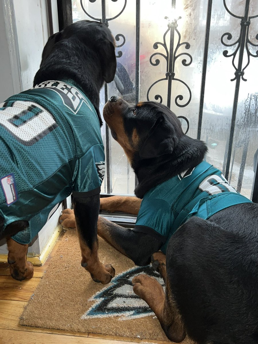 IT’s A Philly Thing #ItsAPhillyThing #FlyEaglesFly #rottweiler #EaglesFan #gigiandleo #NFL #foxnews #EaglesNation #Philadelphiaeagles #touchdown #Lincolnfinancialfield #blessedbeyondmypower #sportsmom #DogsofTwittter #rottweiler #mom #champion #Playoffs #eagles2023