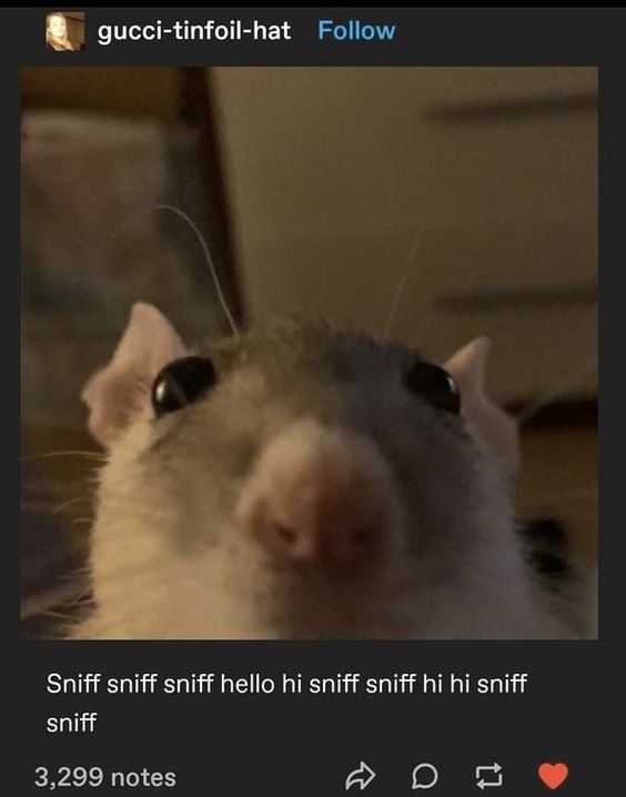 smalpotat's tweet photo. https://t.co/ysWK0C3FTX