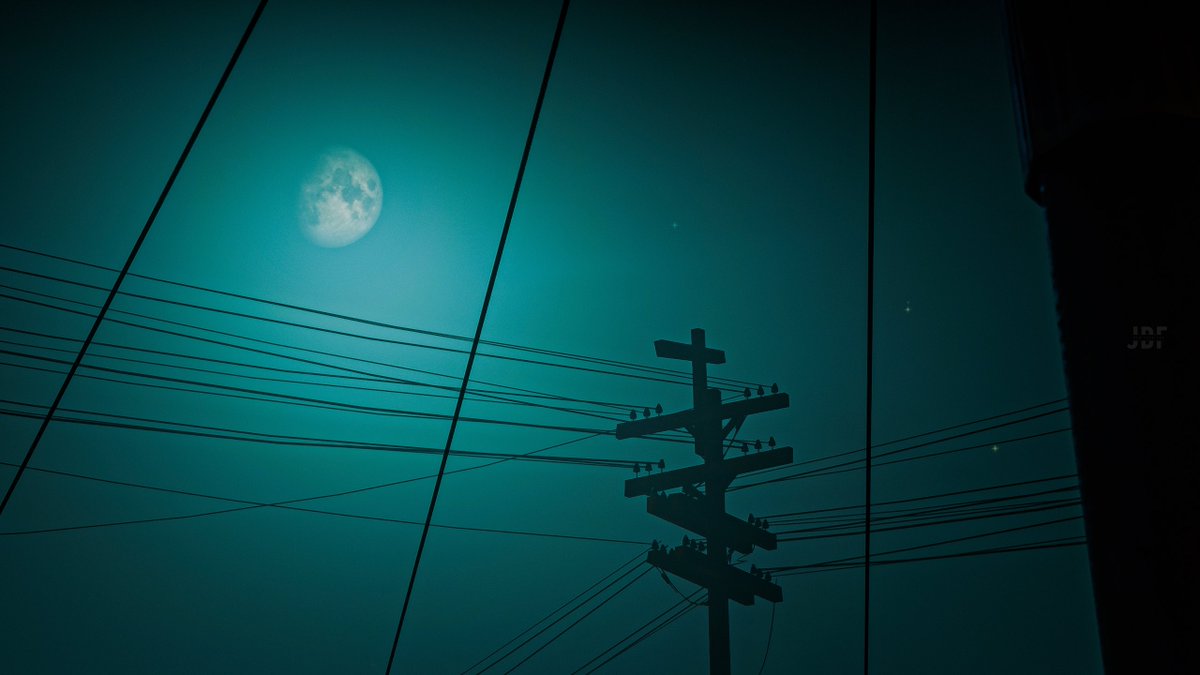 JackDeekFox's tweet photo. Gibbous 🌔

#WVPFrame | #TCCEnergy 

#RedDeadRedemption2 #RDR2 #SimpleShotSaturday #VirtualPhotography #VGPUnite #VPRT #VPGraph #ArtisticofSociety https://t.co/qesiGFkL62