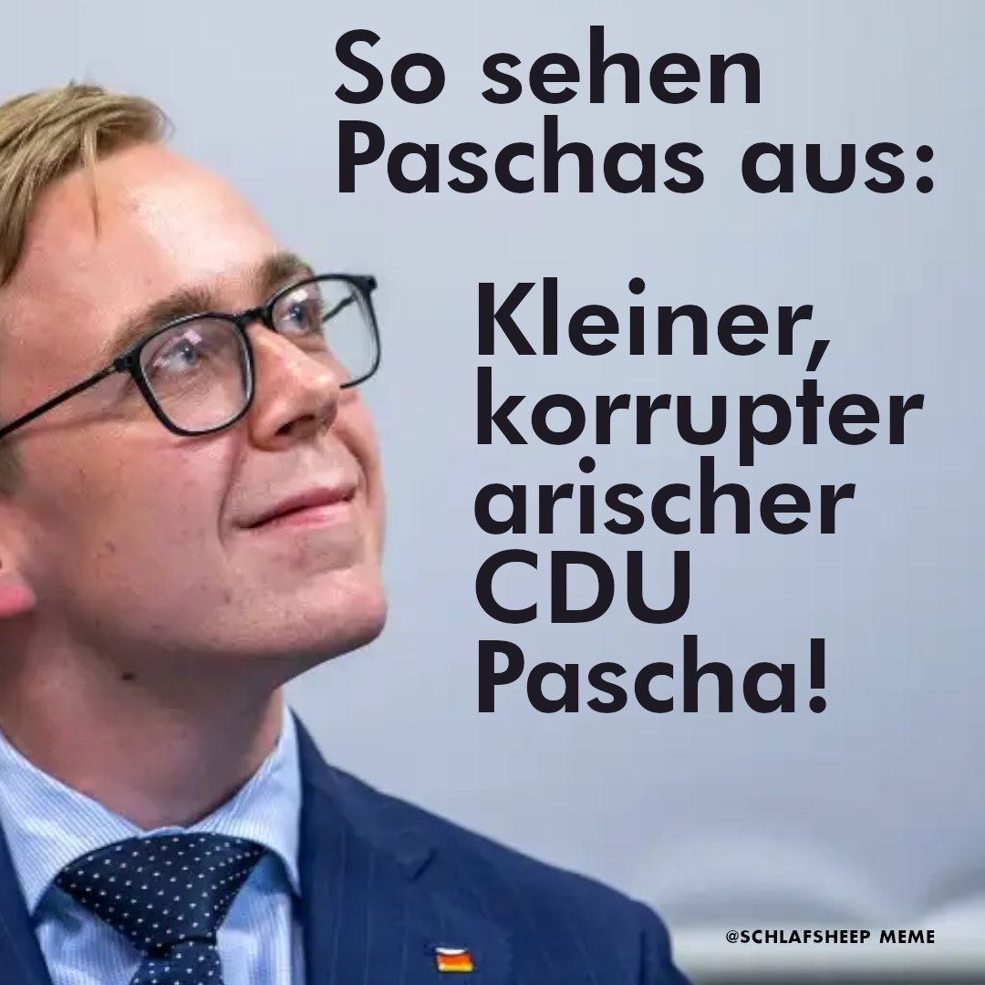 Diese unerträglichen #Paschas...
#Rassist #merz #amthor #cdu