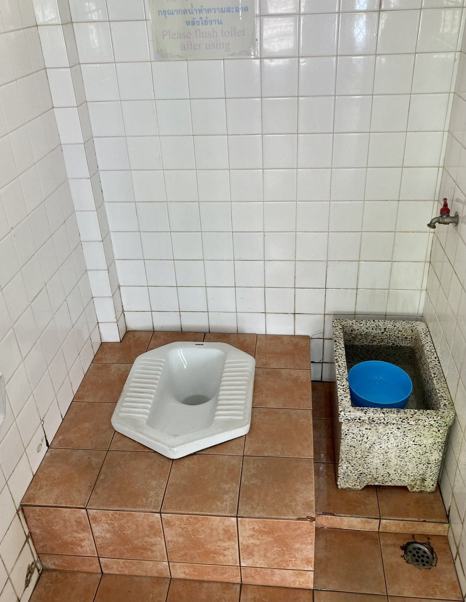 HowellDawg's tweet photo. Thailand is always interesting. You can go from one bathroom extreme to the other on any given afternoon. BYOtissue 🇹🇭 #Thailand https://t.co/W1eSRH4E2X