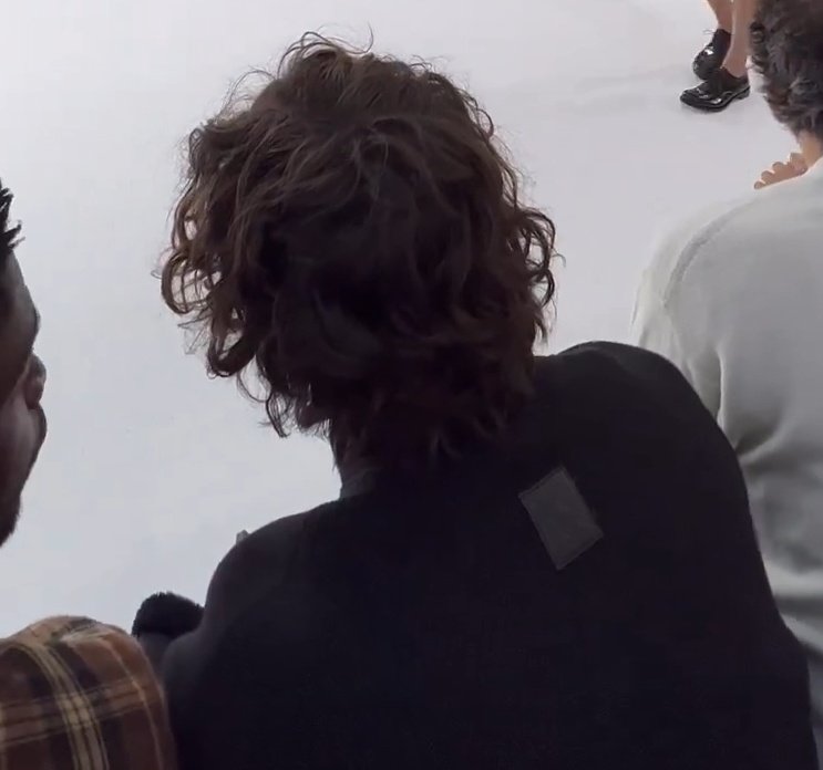 maryychalamet's tweet photo. Timothée's curls... https://t.co/EZw9MS7Z8A