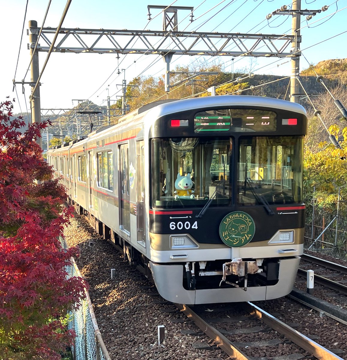 kisou185's tweet photo. #貫通扉がない車両は古い
古いか?
#shintetsu https://t.co/RtiESRqyPp