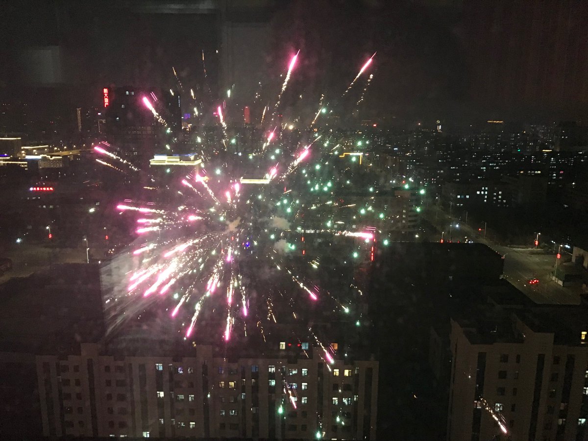 Interiorwinter's tweet image. So the fireworks have been going for 15 hours straight. I can’t help wondering if this is three years worth of pent up frustration finally being set free. Happy year of the Rabbit @StephenMcDonell and @EP_Lawrence. Your fearless presence these last few months has been so welcome