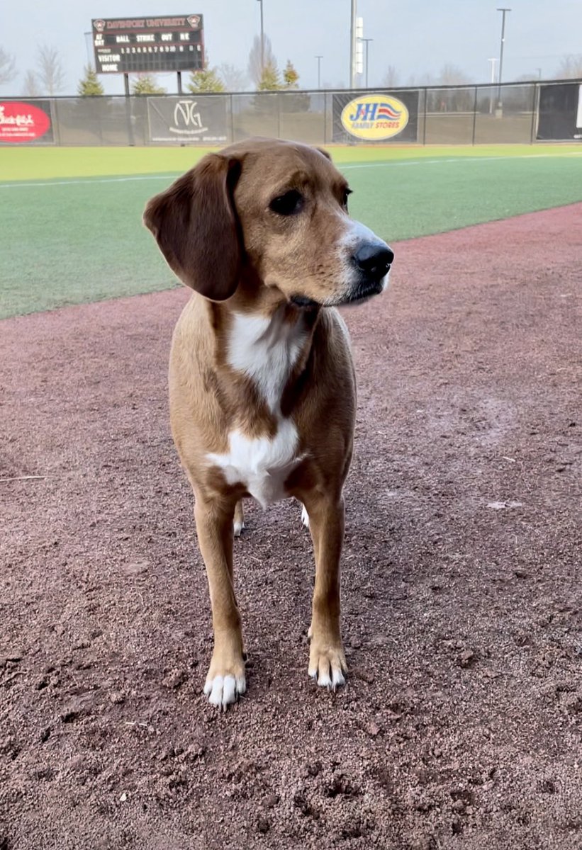 Happy birthday, Jackson!!🐾