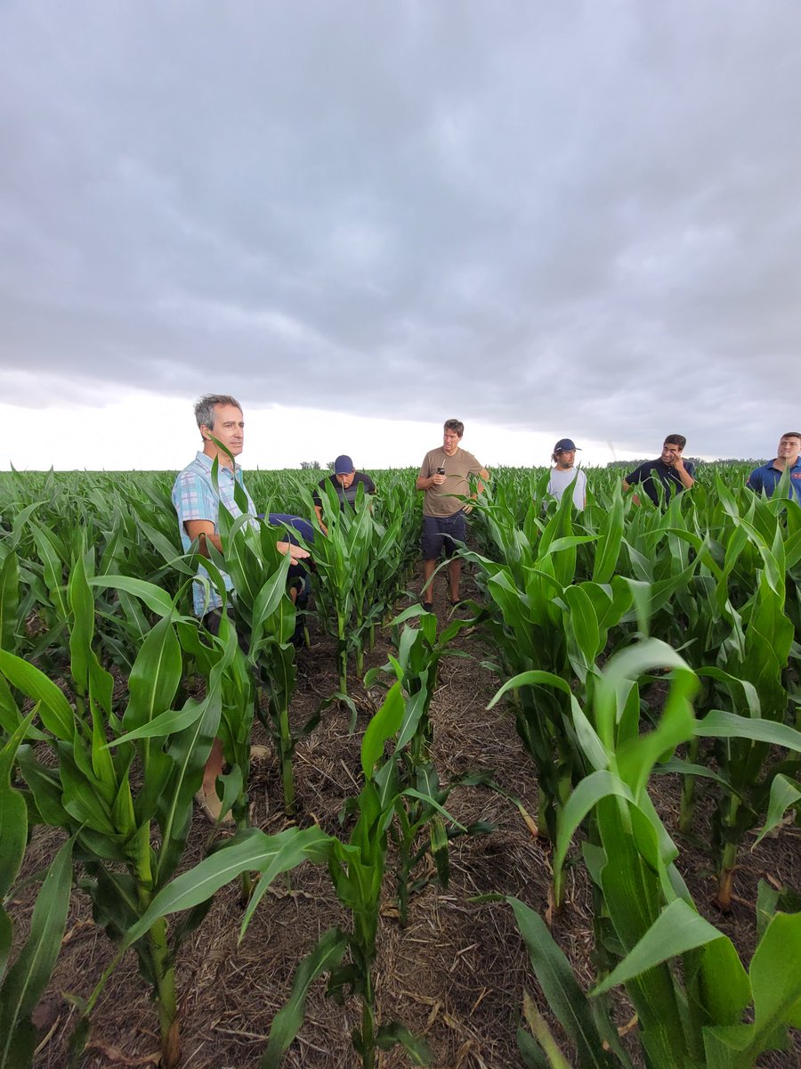 Taller de plagas, malezas y enfermedades en Necochea junto <a href="/VientoSurAgro/">Viento Sur</a> y <a href="/Agropack/">Agropack</a>.

Hablamos de rotación, FS, CS, tecnología de herbicidas, monitoreo de enfermedades y plagas. Presentamos #virantra, #cropwise y #paisajesmultifuncionales.
Excelente intercambio!!!