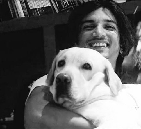 disha⸆⸉🇮🇳 (@vintagetayy) on Twitter photo Happy birthday Angel <a href="/itsSSR/">Sushant Singh Rajput</a> 🤍
You're alive in our hearts, forever.
Sushant Day , it is.
#SushantMoon Happy birthday Angel <a href="/itsSSR/">Sushant Singh Rajput</a> 🤍
You're alive in our hearts, forever.
Sushant Day , it is.
#SushantMoon