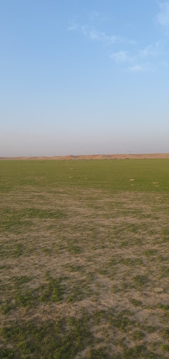 روضة ام المجالس واحدة من أجمل الأماكن الطبيعية في منطقتنا الحبيبة .. نذكر أنفسنا والجميع بالمحافظة عليها فهي هدية من الله عزوجل لنا .. الحمدلله على فضله